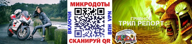 Купить где  Холм  Псилоцибиновые грибы Psilocybine cubensis 